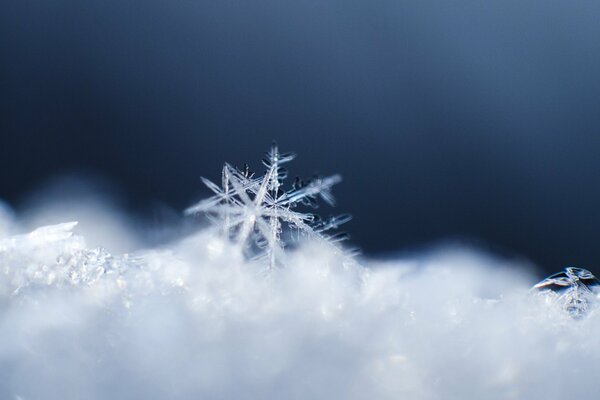 Kristall Schneeflockenmuster aus Schnee