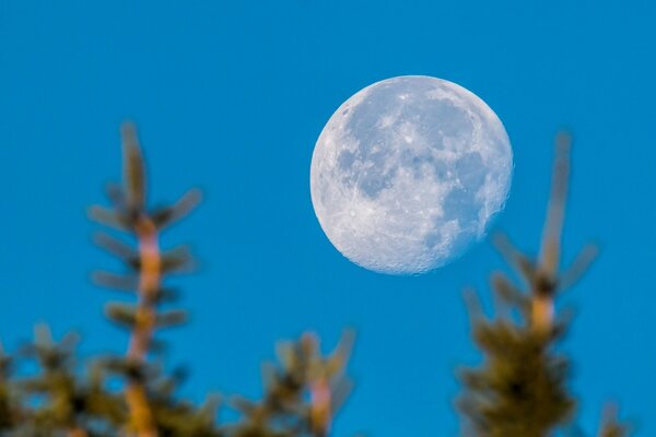 The moon is shining and the sky is visible