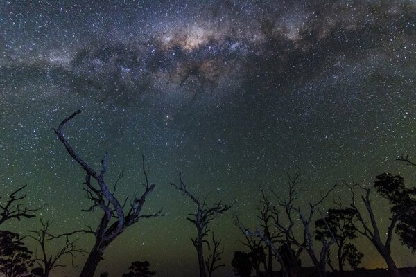 La Via Lattea è la via per determinare la felicità o il cosmo nel cuore della notte