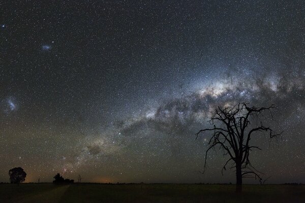 A mysterious world. The beauty of the night sky