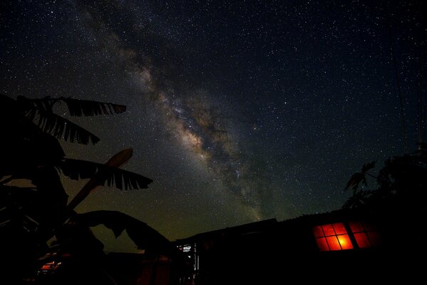 Palm trees, the Milky Way and the light in the window