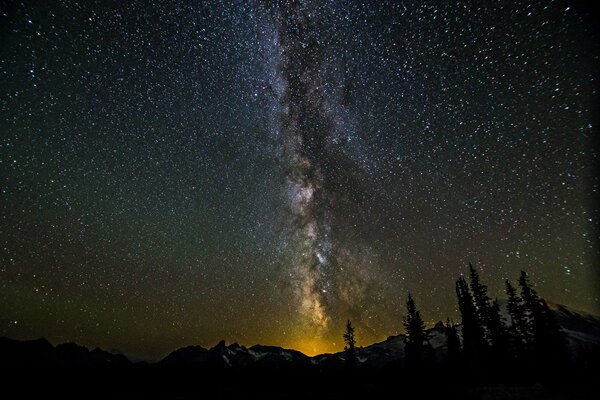 Silhouettes of trees in the mountains against the backdrop of the beautiful Milky Way