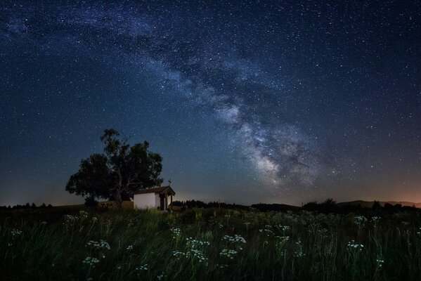 Chapel in Bulgaria on a field near a tree