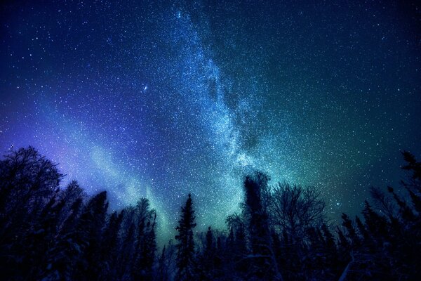 Hermosa imagen de la vía láctea en el cielo nocturno