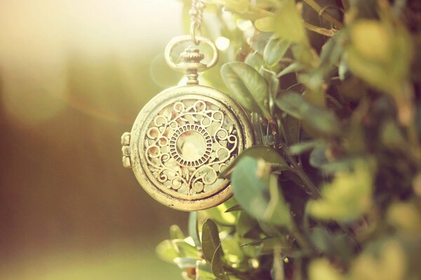 Pocket watch on a chain, on a green background