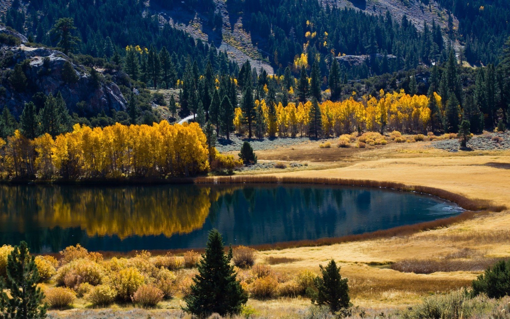 forest autumn nature lake