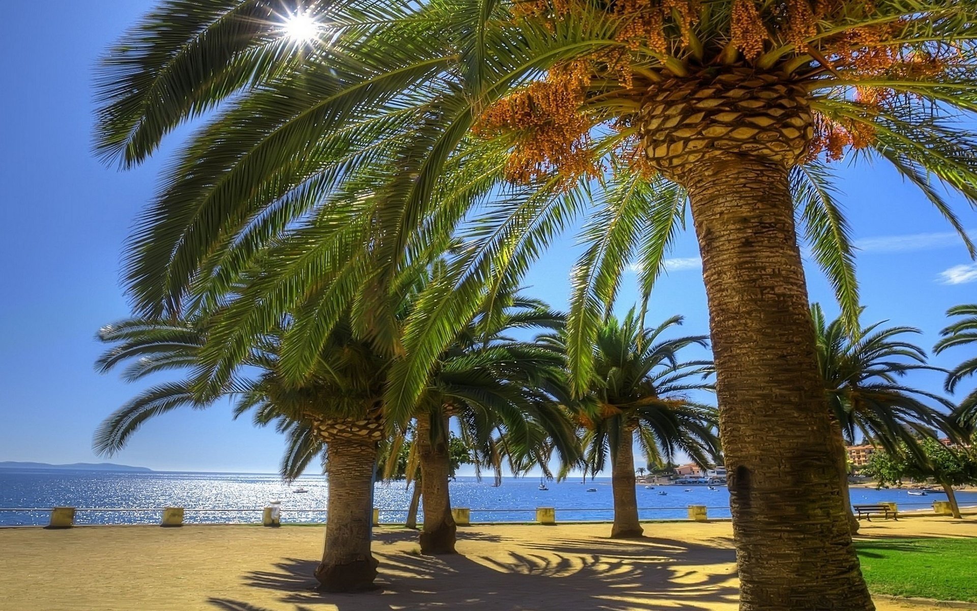 palme mare vacanze