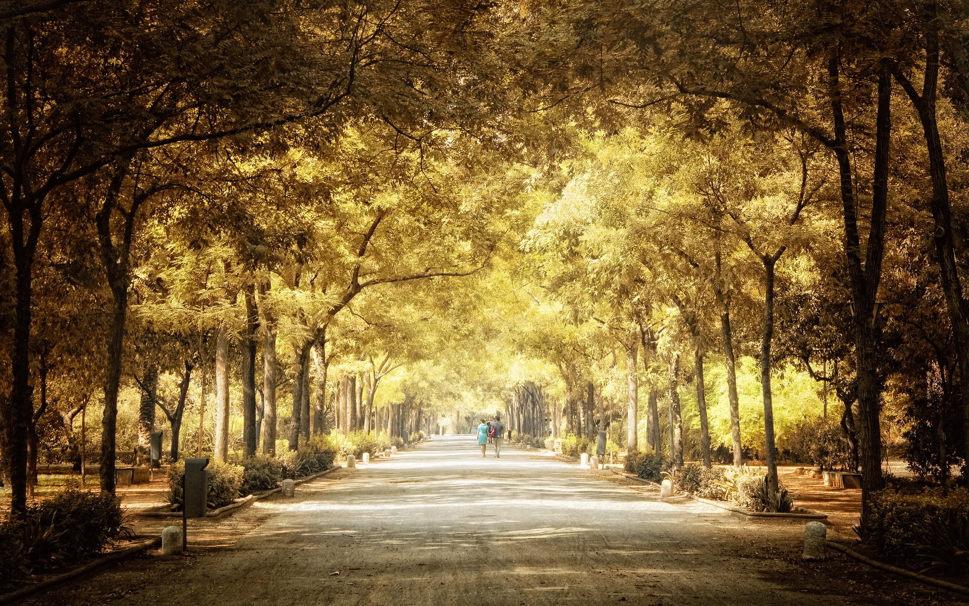ciudad parque otoño