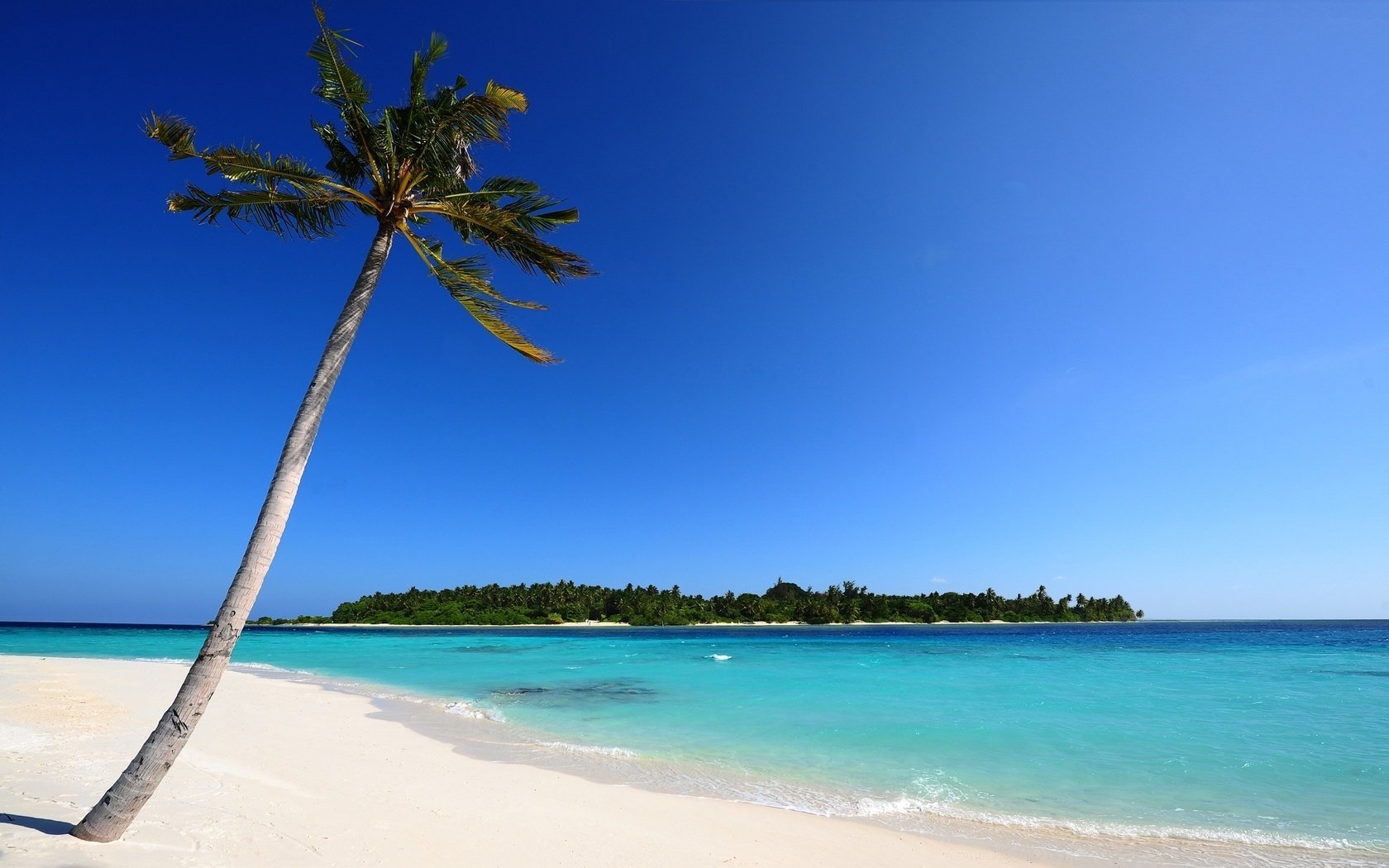 plage mer palmier sable maldives