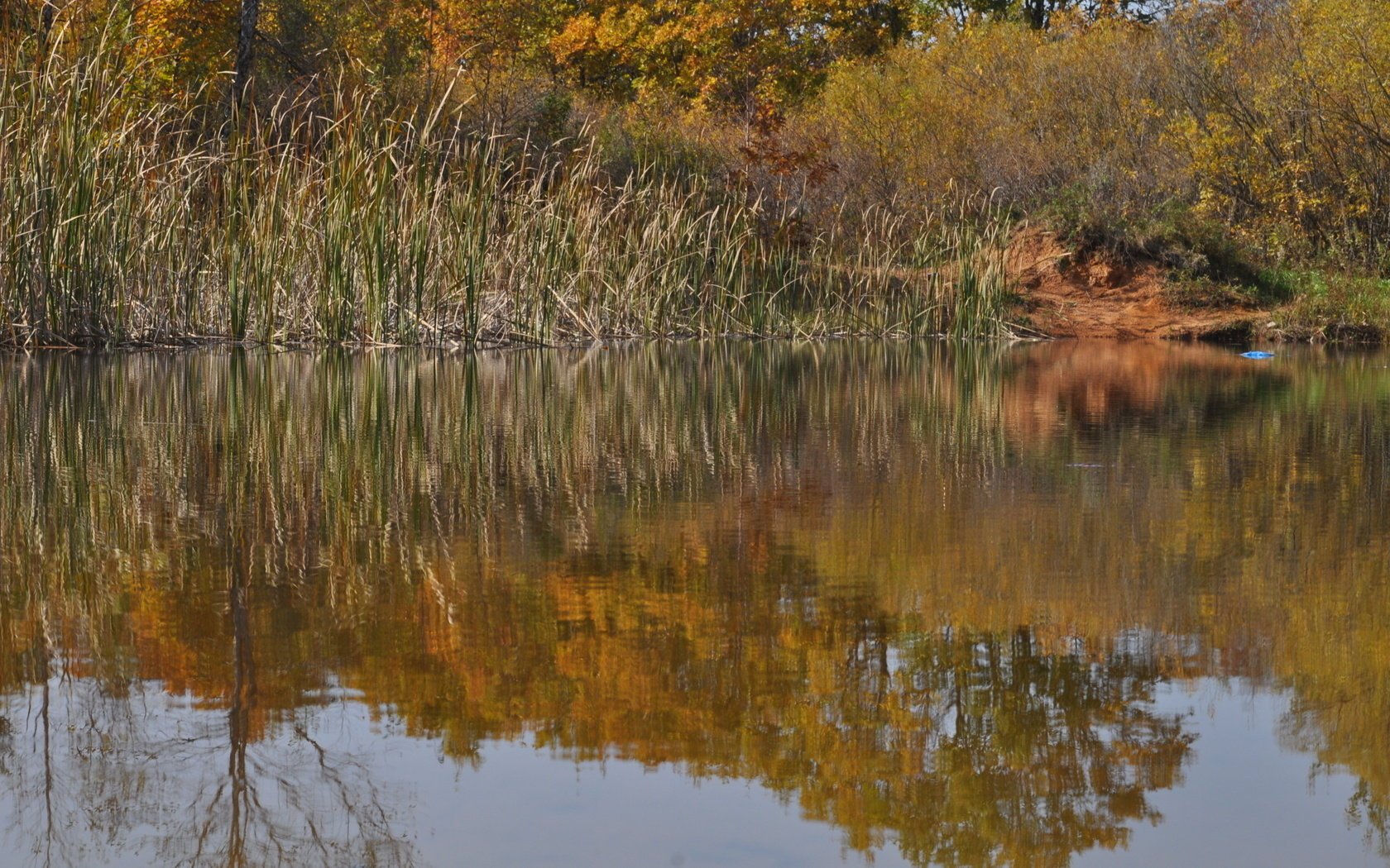 primorye automne nature