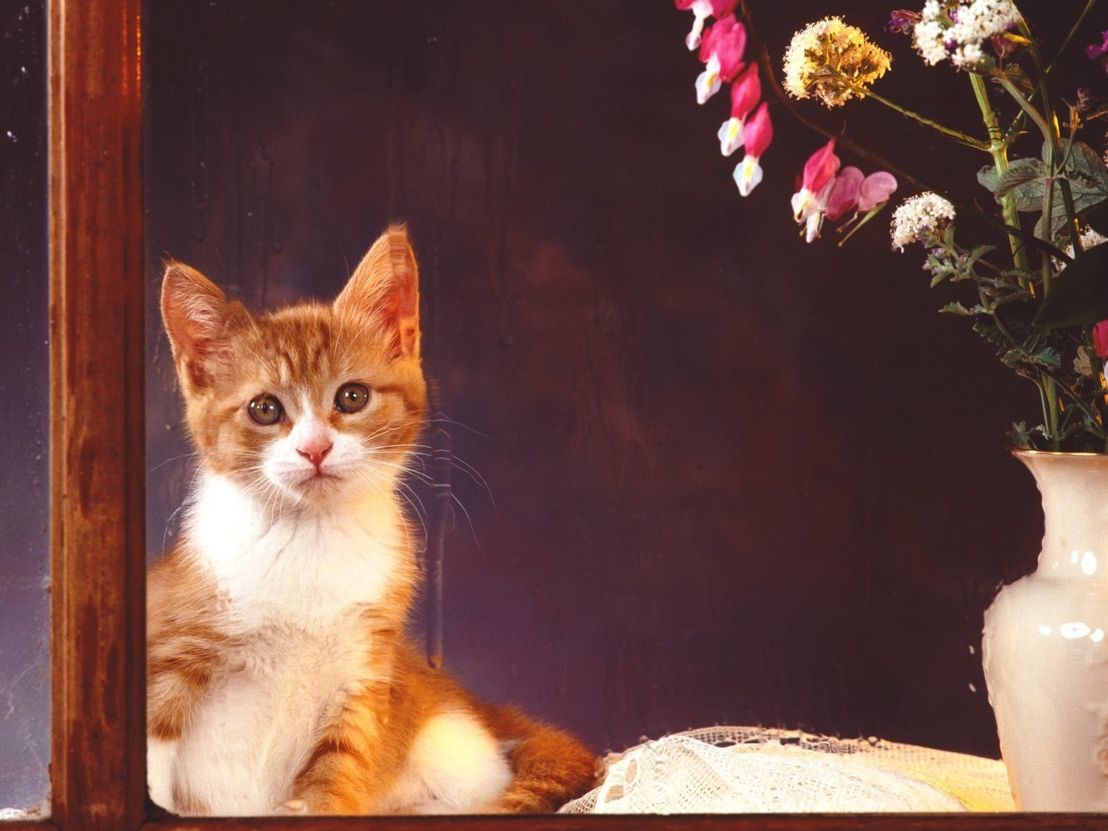 fleurs chaton vase