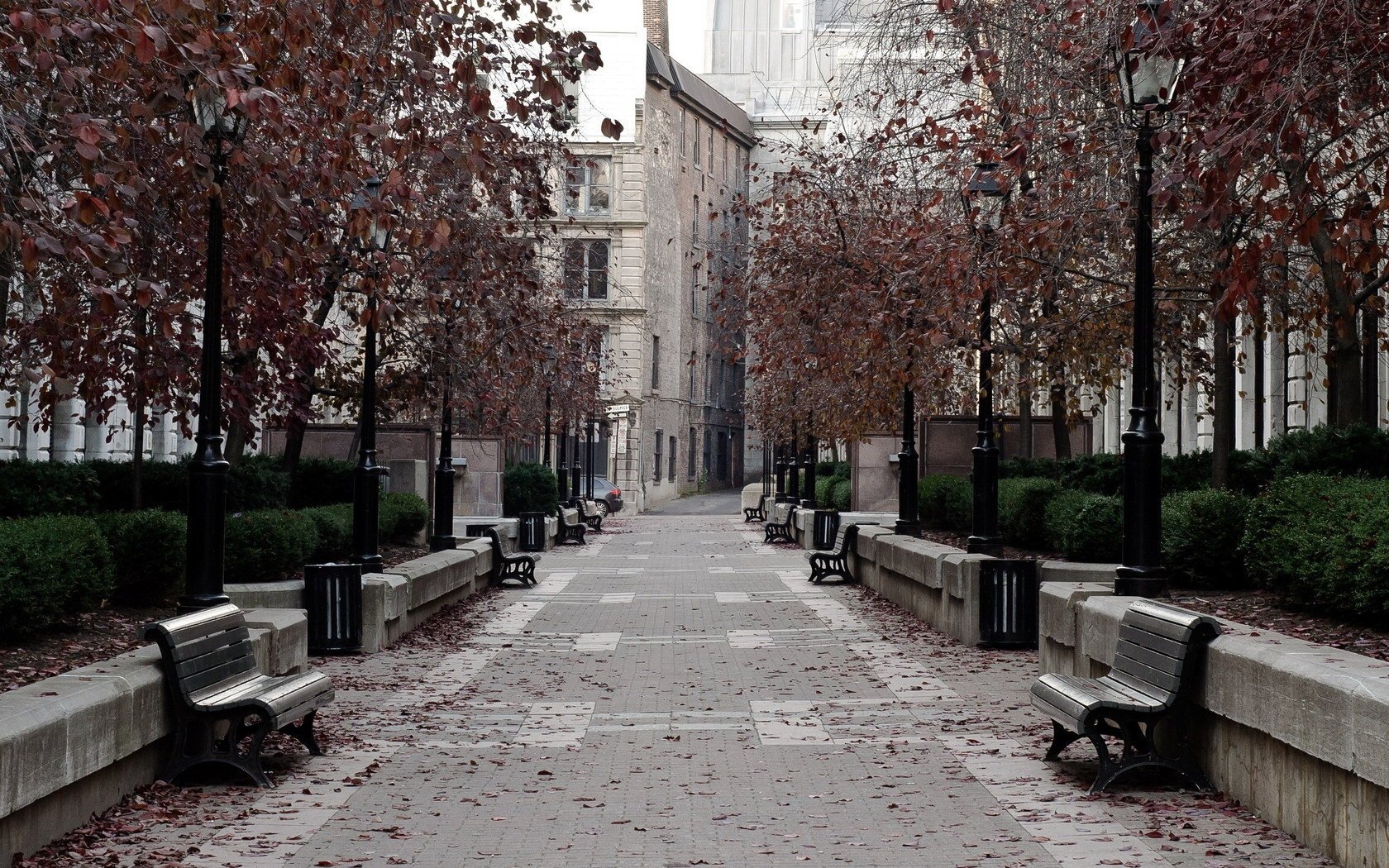 calle camino tiendas ciudad parque
