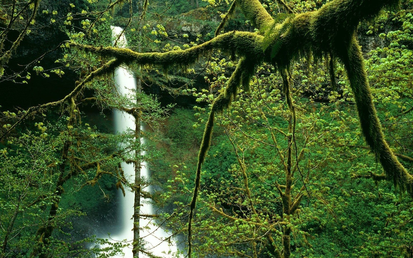 paysage cascade joliment