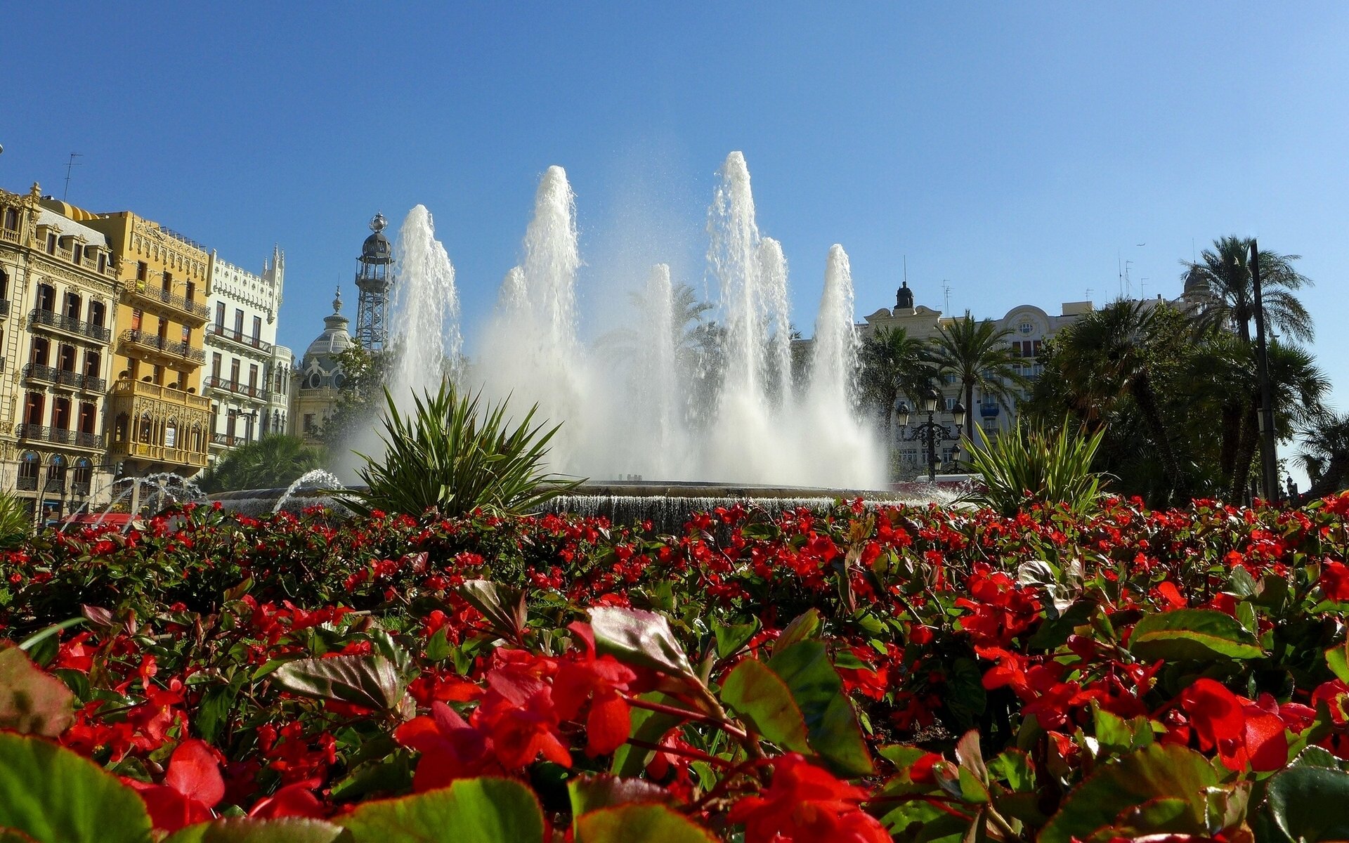 valencia españa fuente flores begonias parterre