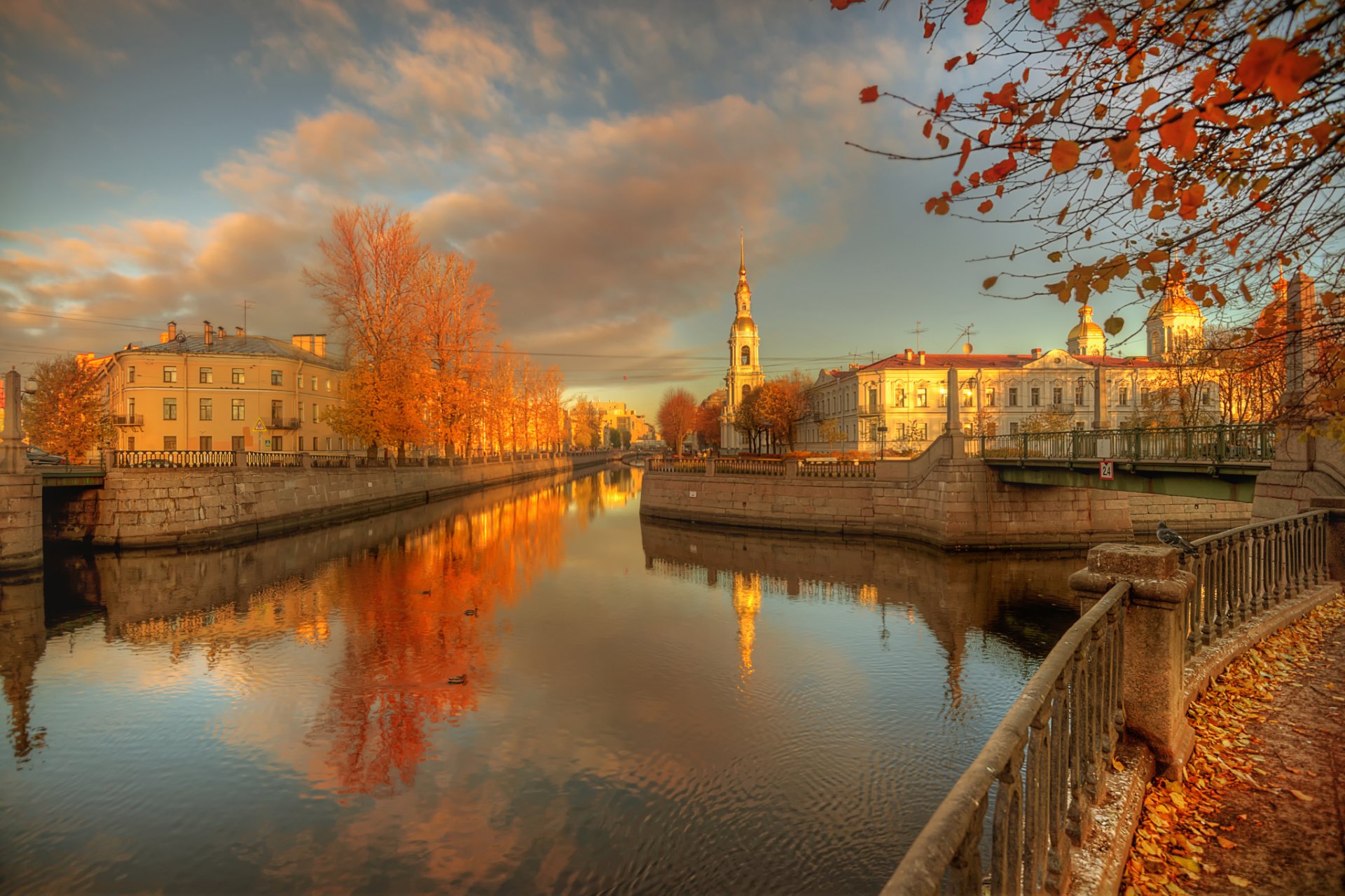 san petersburgo 30 de octubre de 2015 otoño dorado