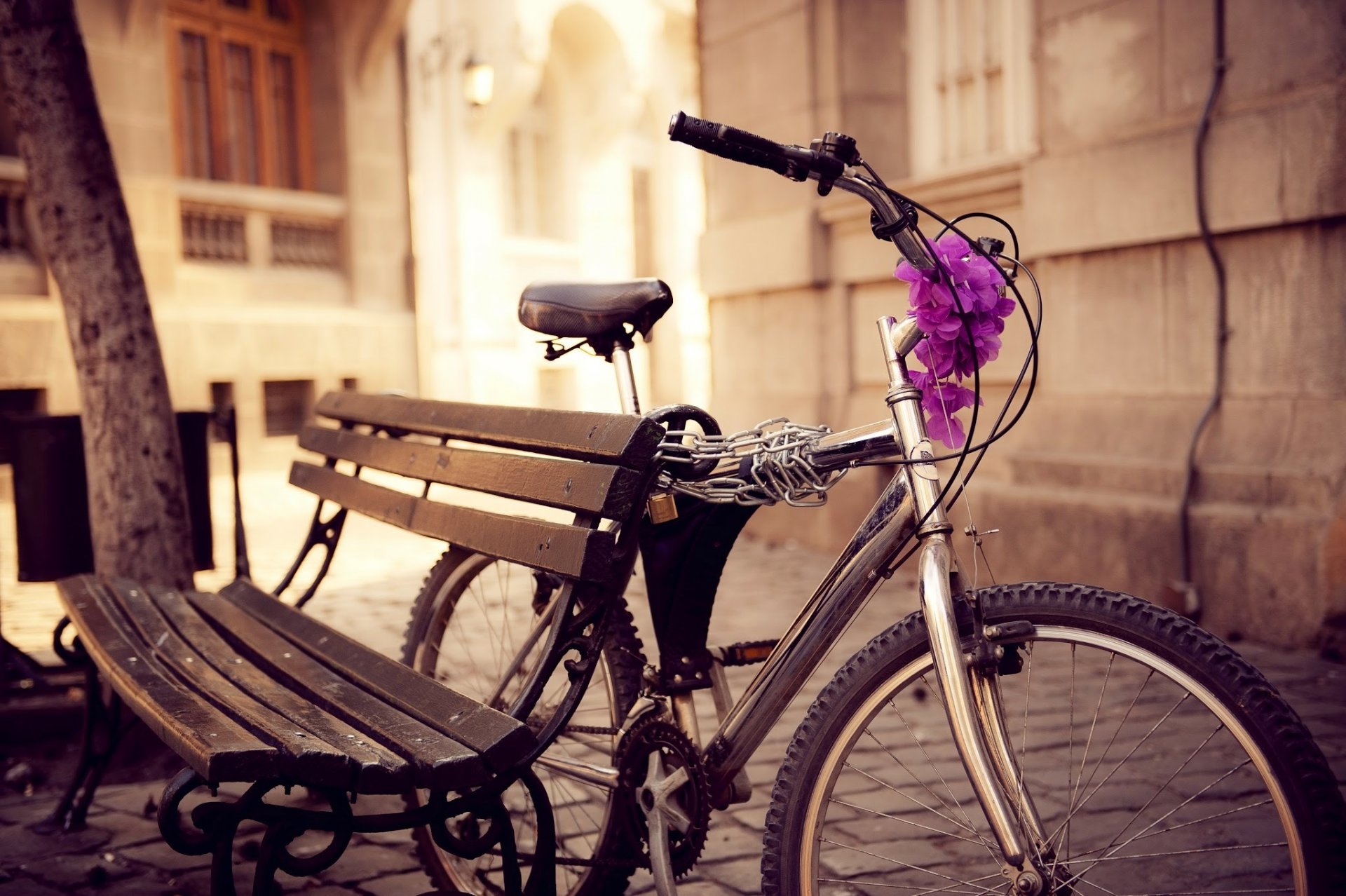 fahrrad bank straße kette blumen stadt