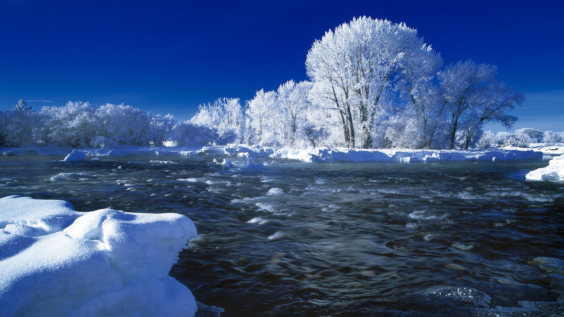 rivière hiver neige arbres