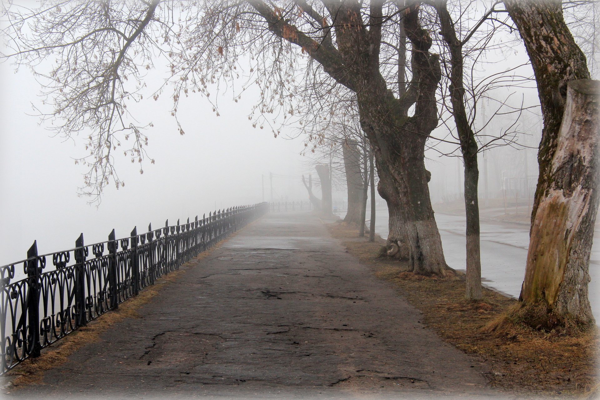 alley spring town city garden tver fog