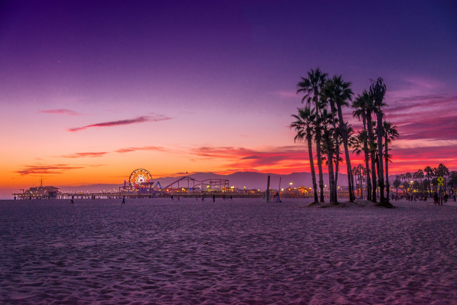 usa kalifornia los angeles santa monica plaża ocean palmy