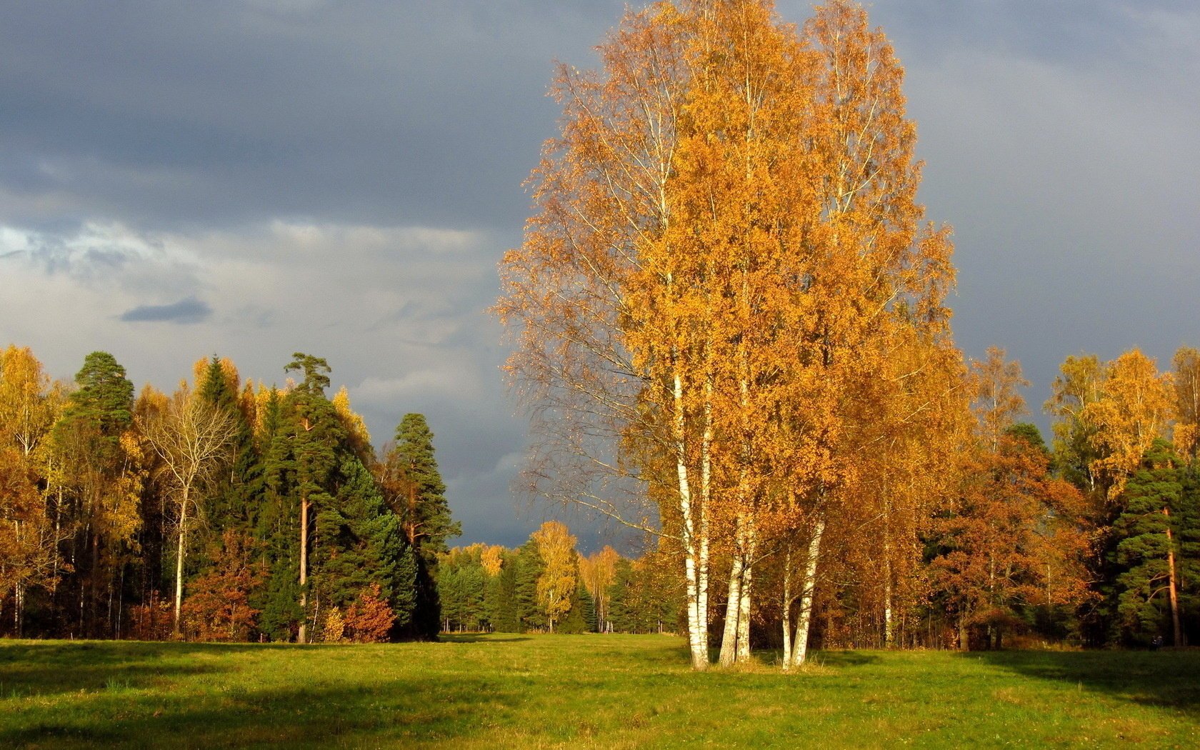 pavlovsk russie forêt saint-pétersbourg