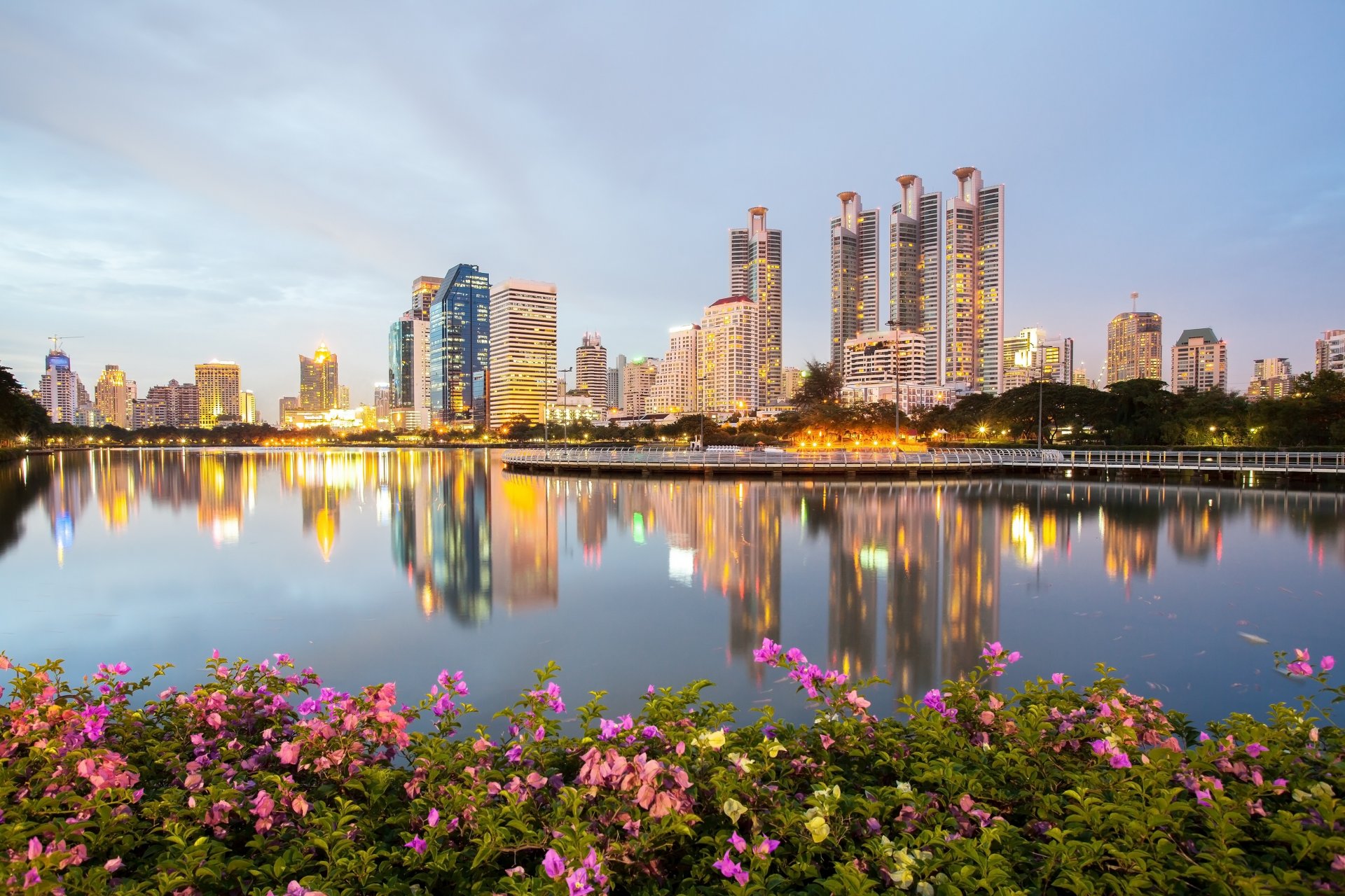 bangkok thailandia acqua riflessione parco cespugli rosa canina edifici lungomare