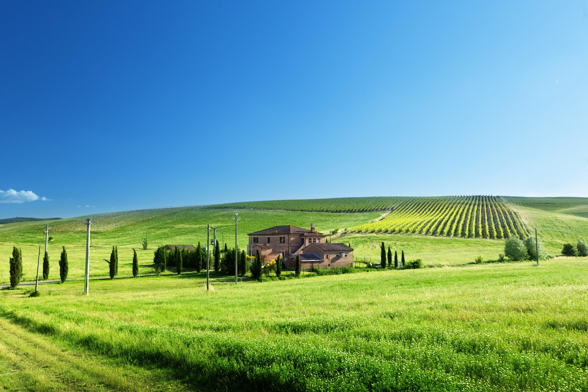 weinberge haus feld gras pfosten