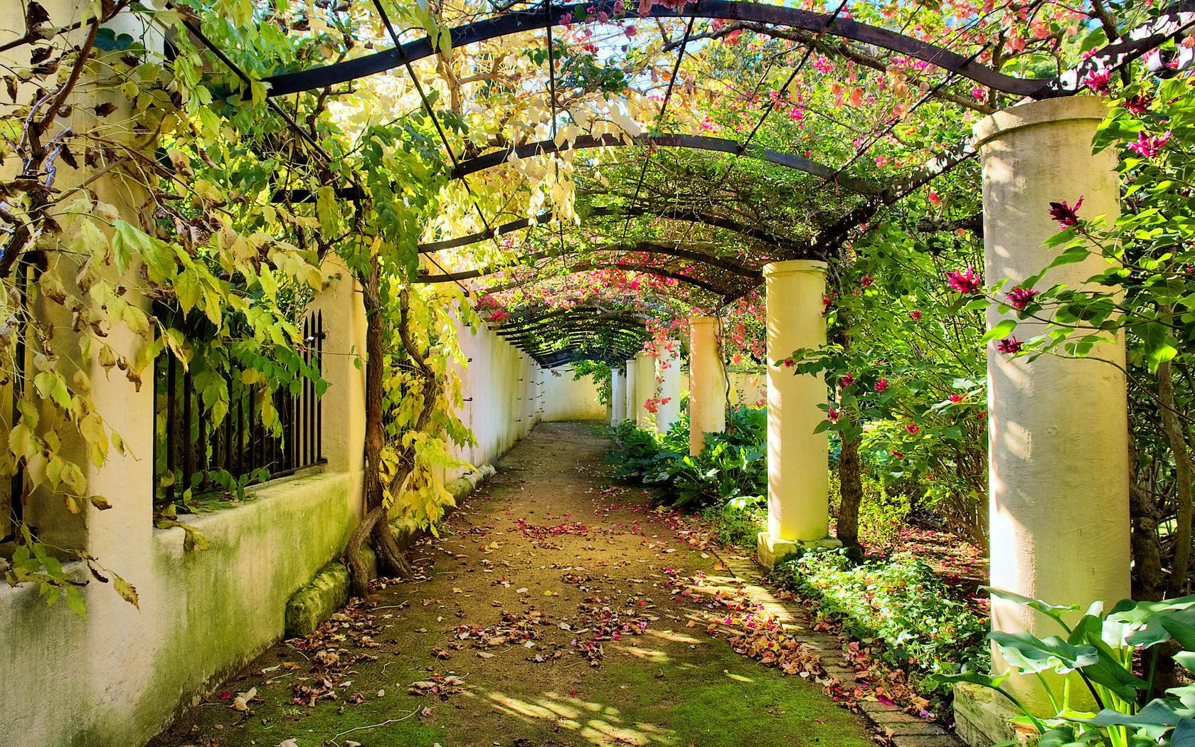 passerella arco autunno foglie giardino