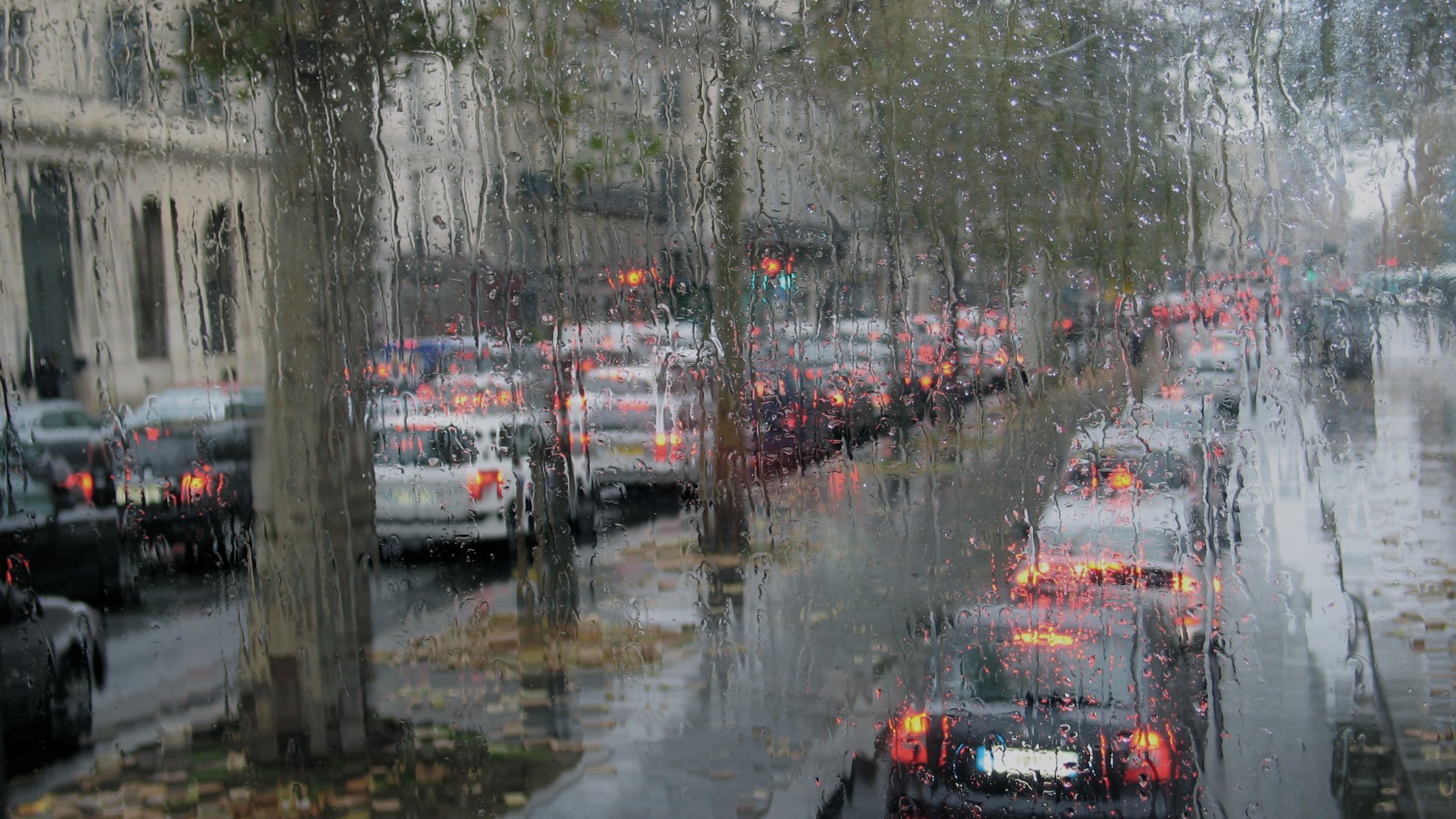 autumn rain pari
