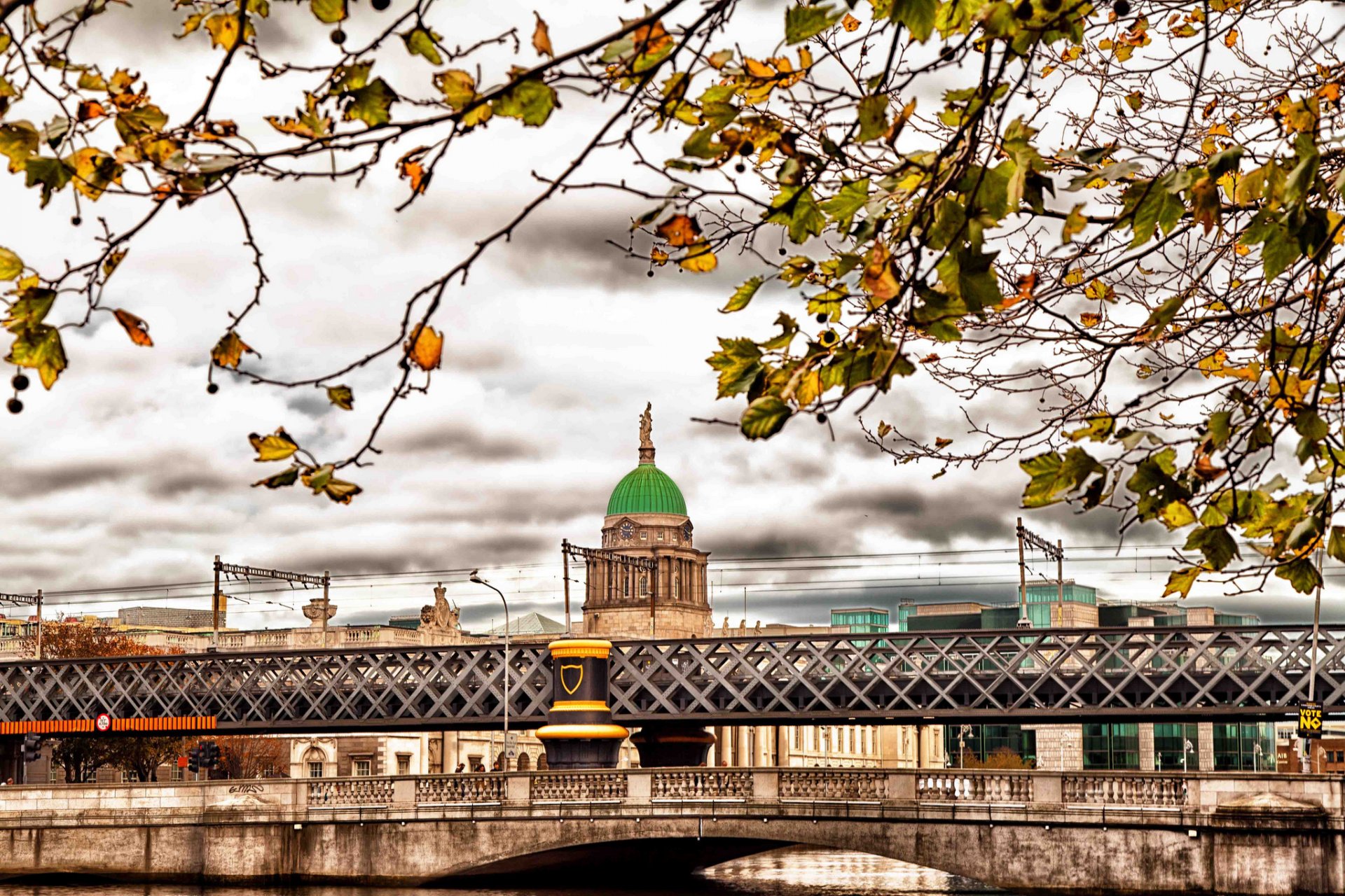 irlandia dublin jesień gałęzie liście most