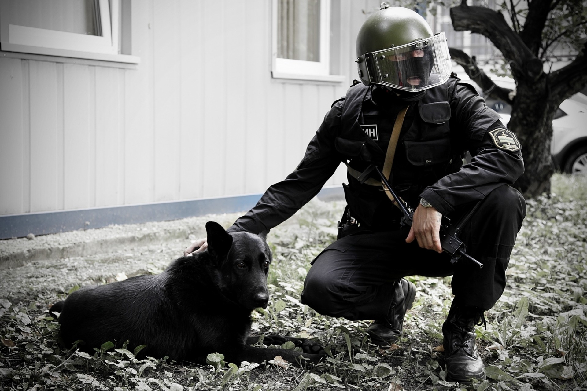 casco perro soldados fuerzas especiales