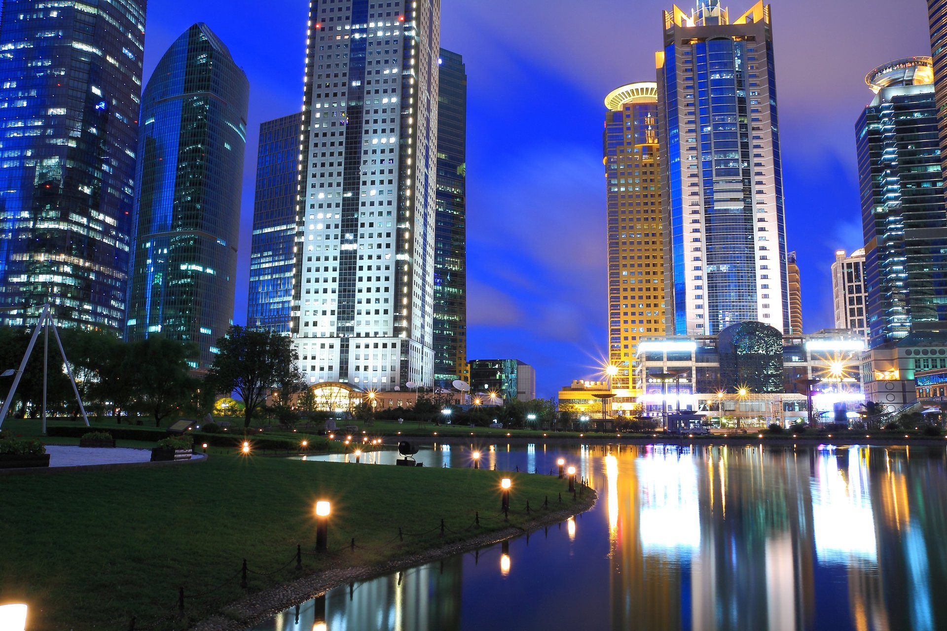 city buildings lake lights grass trees urban night town light tree at night