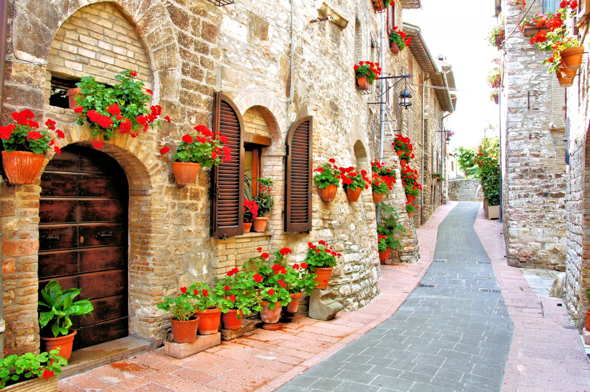 italie maison rue pots fleurs rouge géranium