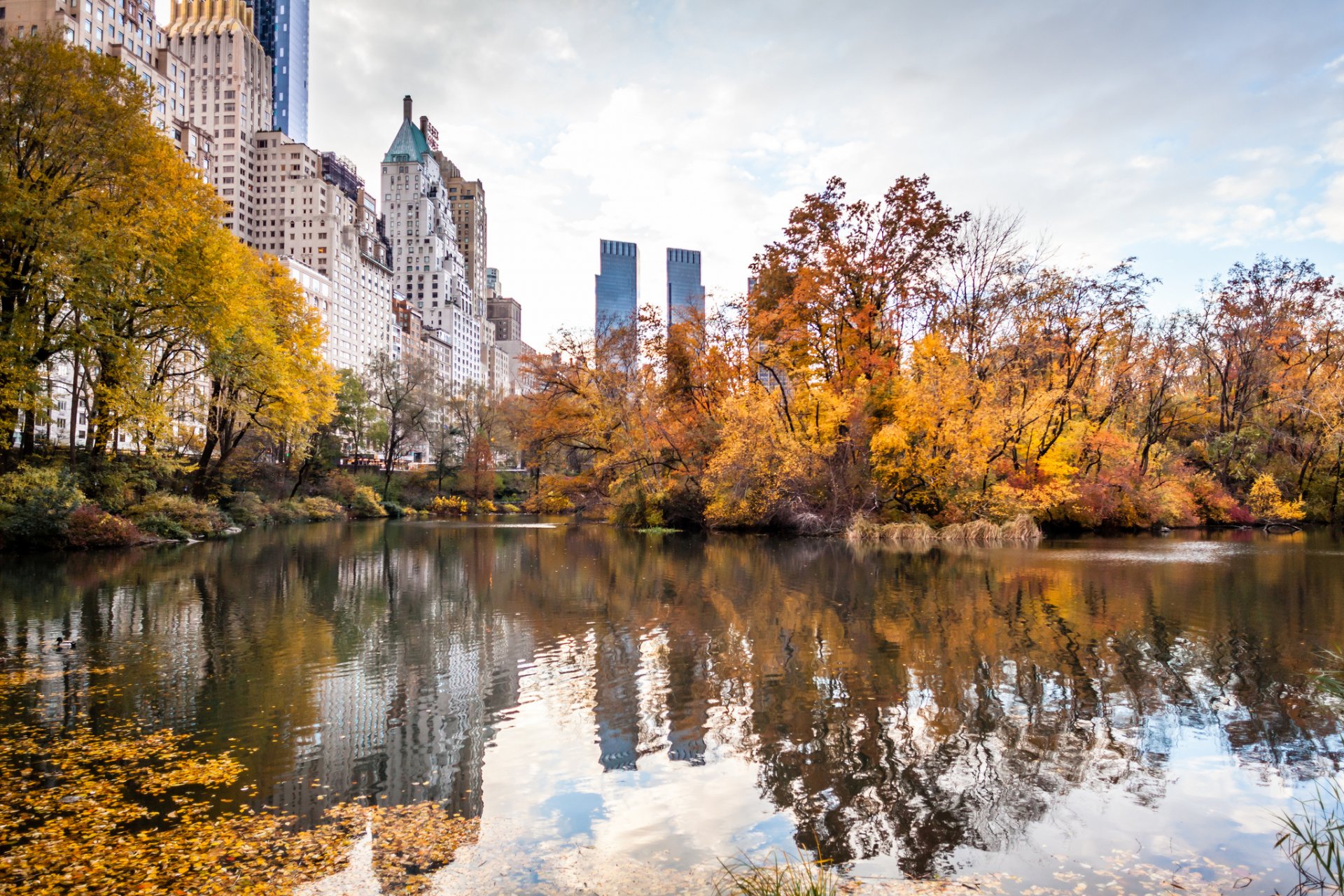 new york états-unis ville automne parc amérique new york gratte-ciel