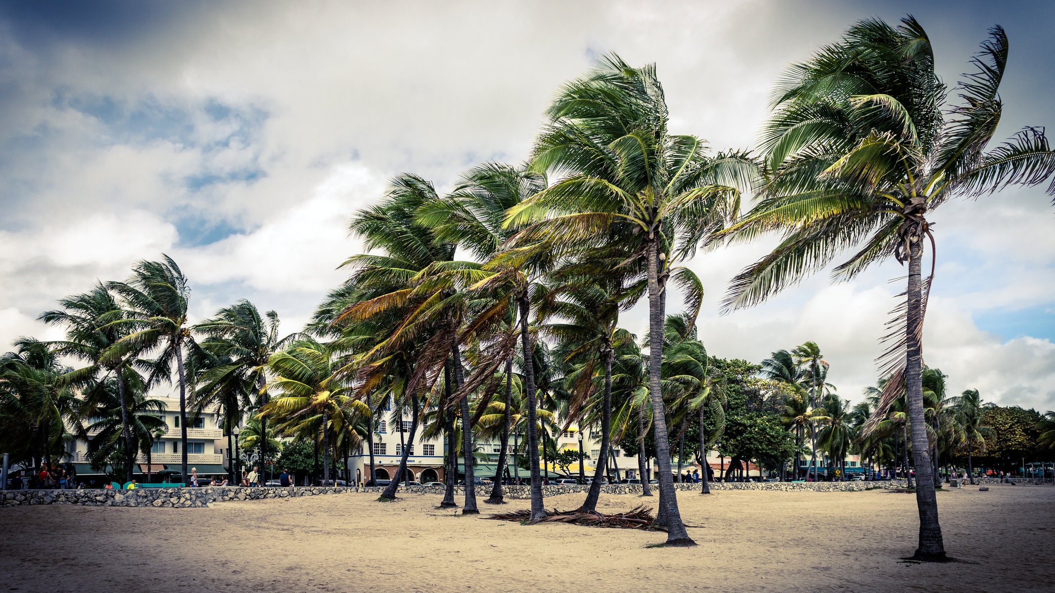 art deco palma miami plaża floryda usa niebo chmura mężczyzna ulica budynek dom piasek park art deco palma palmy ludzie