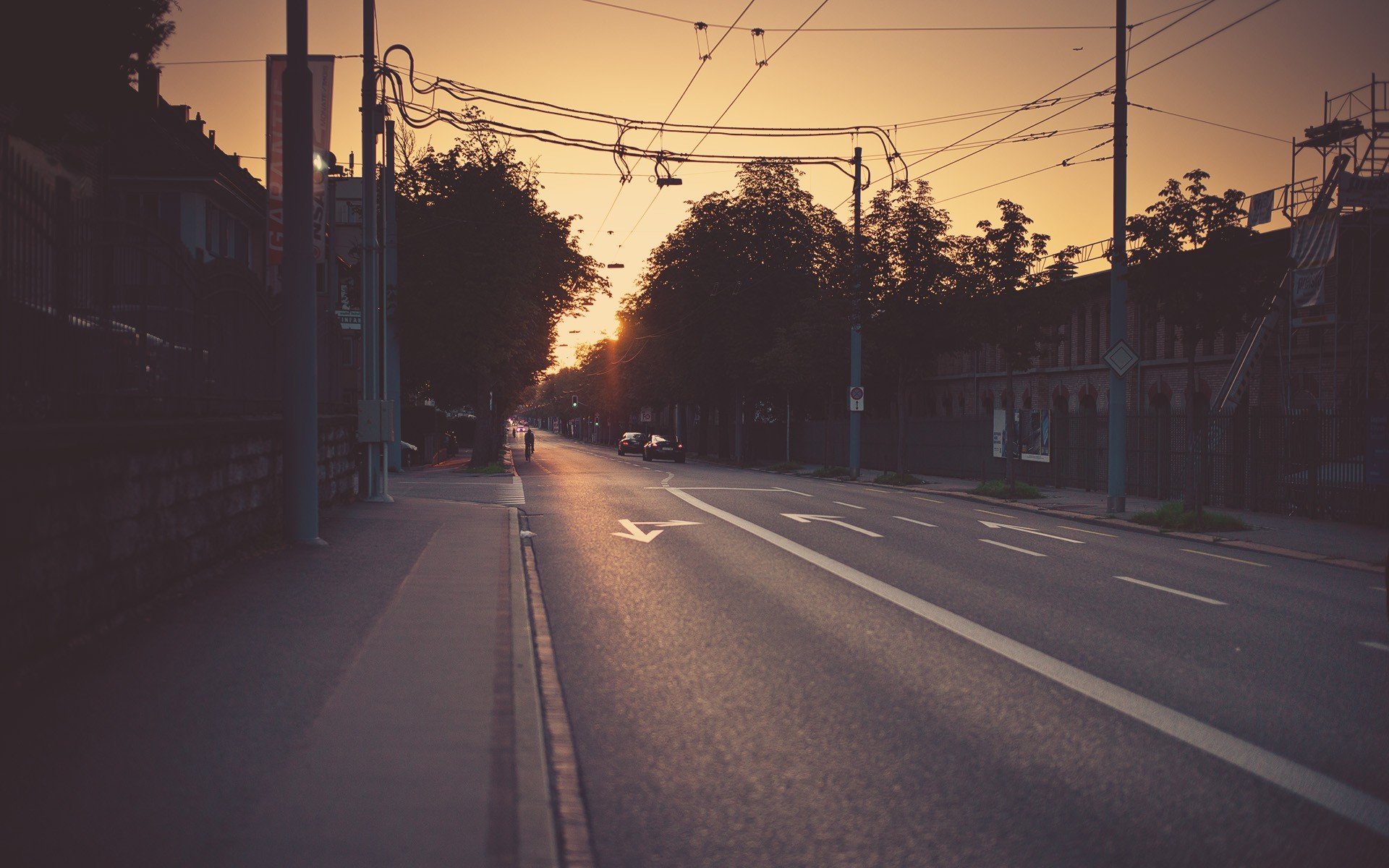treet road photo night
