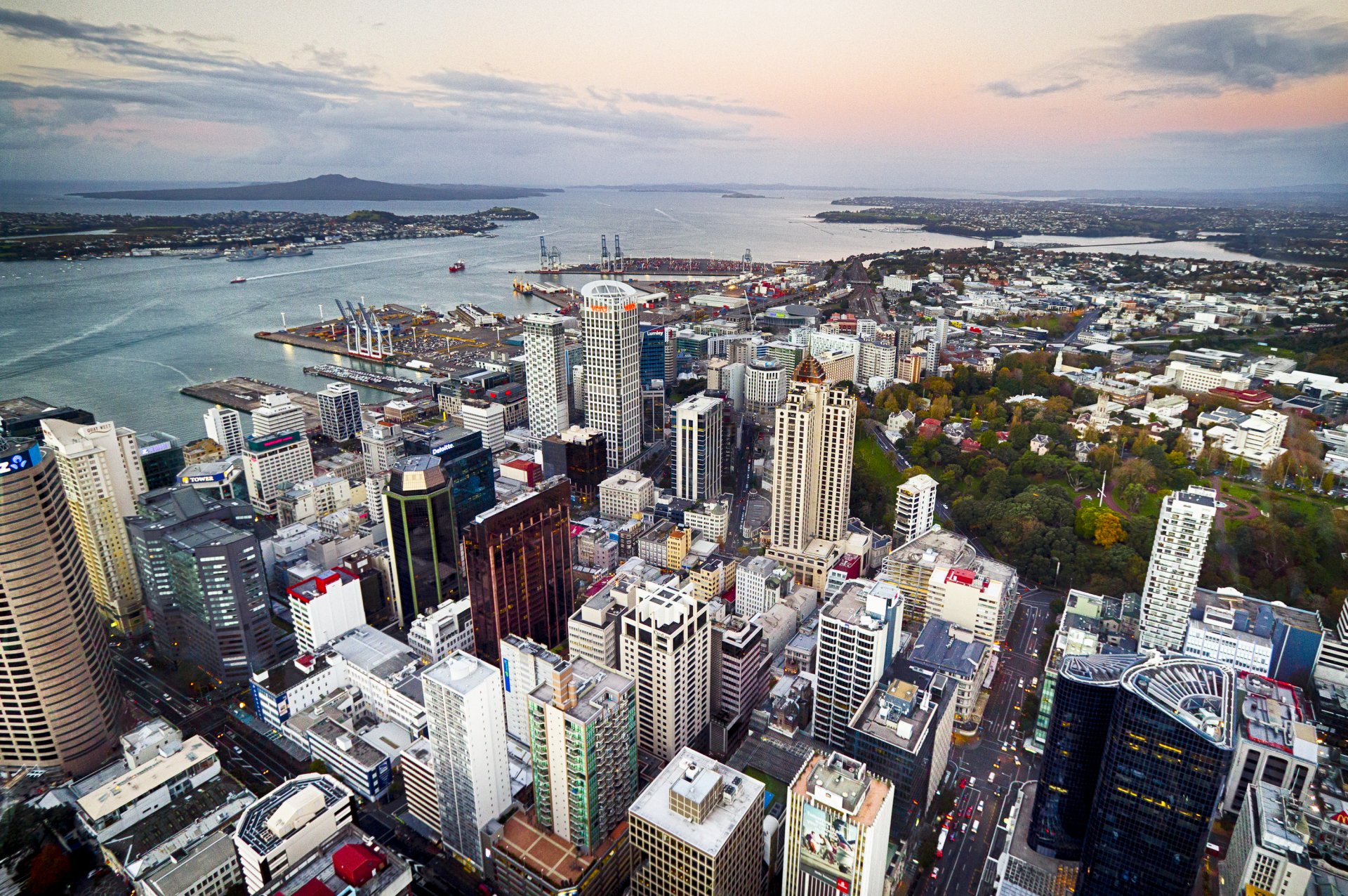 auckland nuova zelanda baia case strade quartiere panorama