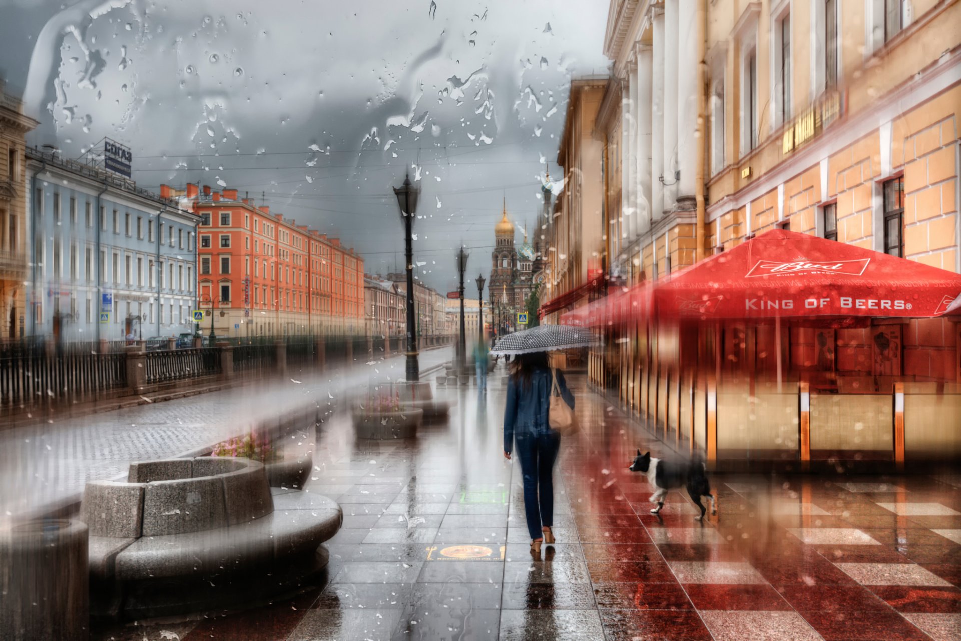 san petersburgo chica gotas paraguas lluvia rusia