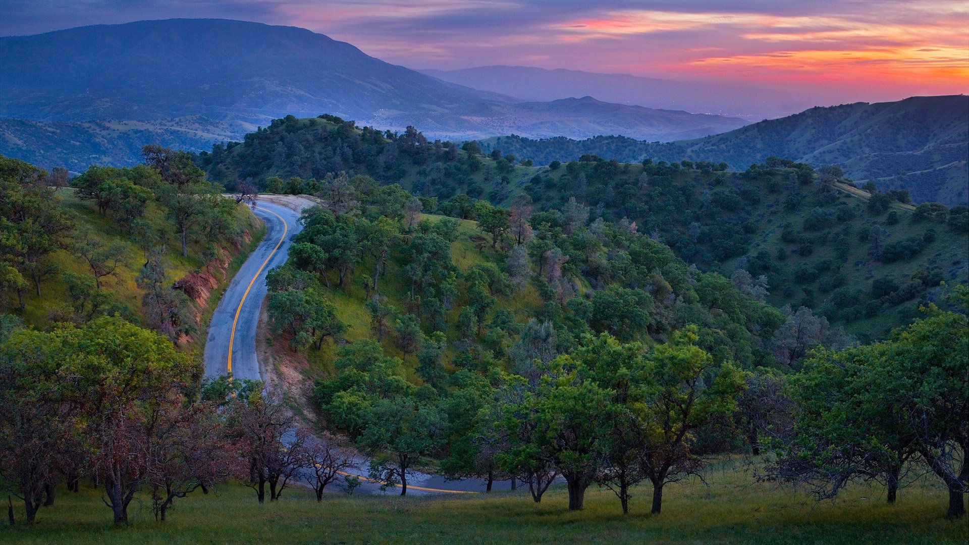 strada montagne tramonto alberi foresta