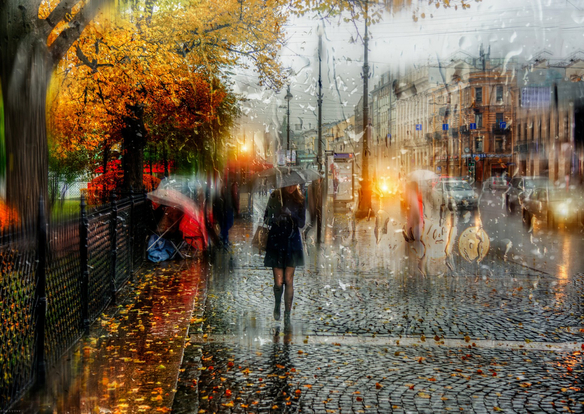 san petersburgo lluvia de otoño chica paraguas gotas