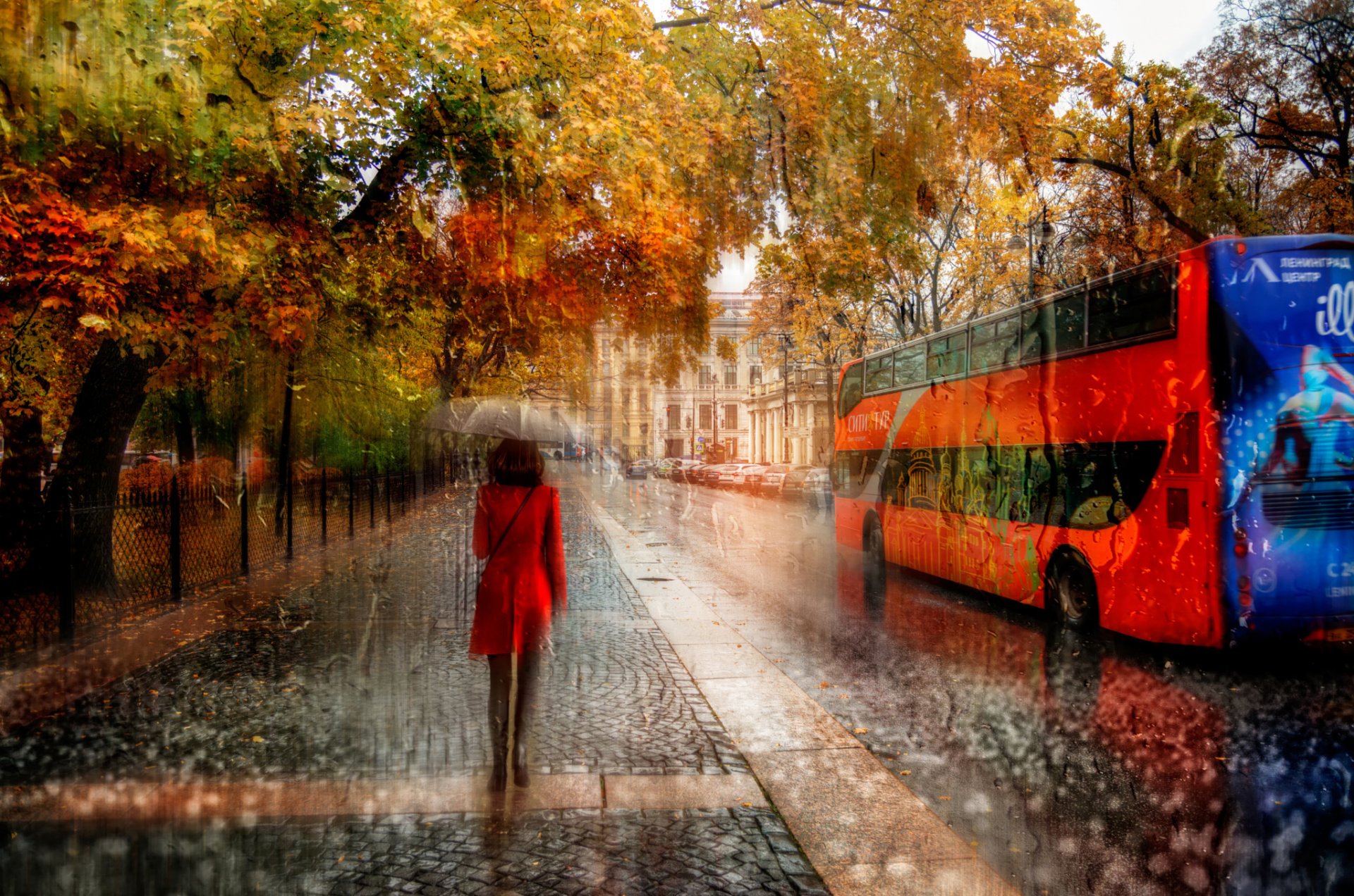 san pietroburgo ragazza pioggia autunno ottobre