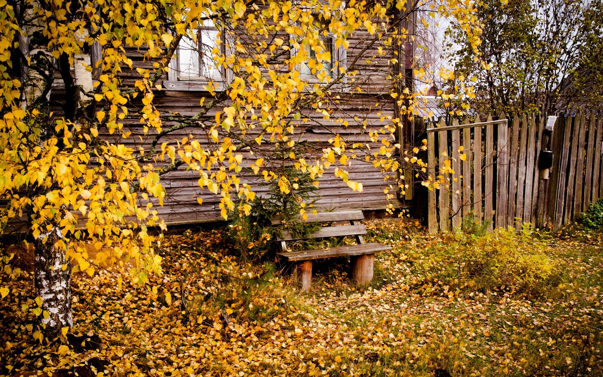 house bench town autumn