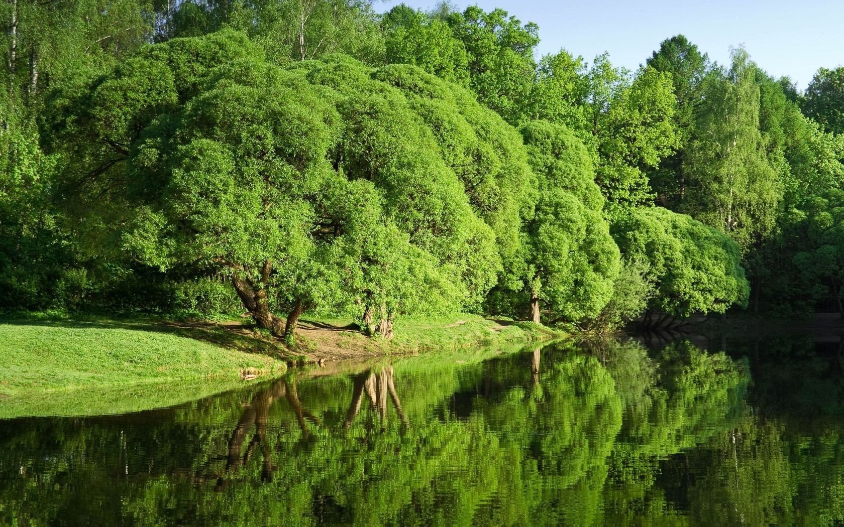 orilla río verano reflexión árboles
