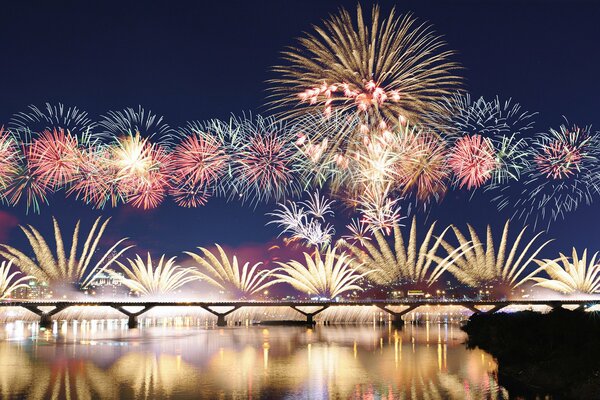 Fireworks in the night sky over the bridge
