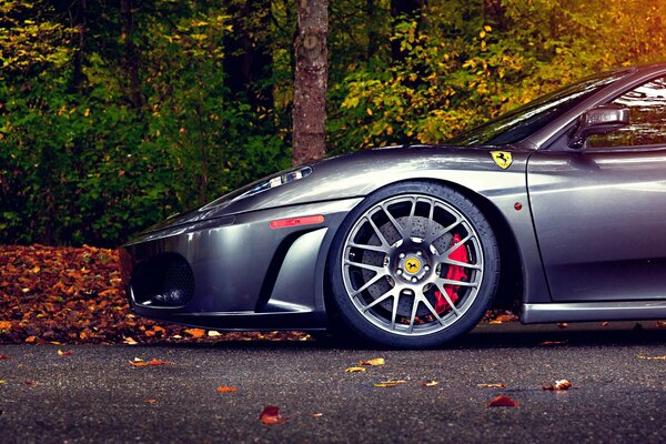 Silver ferrari 430 осенью