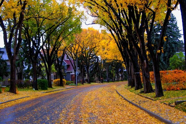 Autumn Road zona residencial