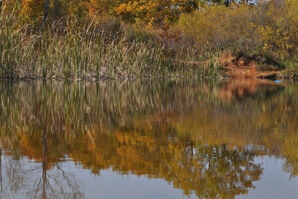 Natura autunnale a Primorye