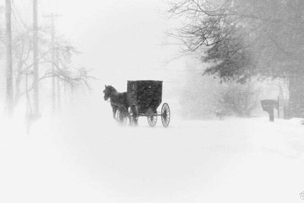Guida in carrozza su una strada innevata