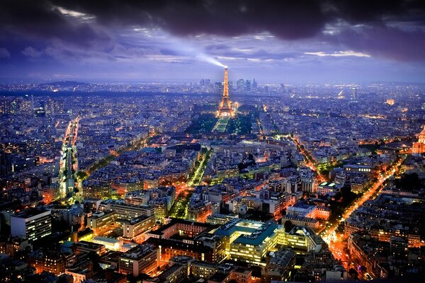Vista a Volo d uccello di Parigi