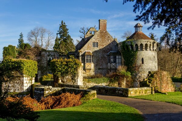 An old castle in England in the woods