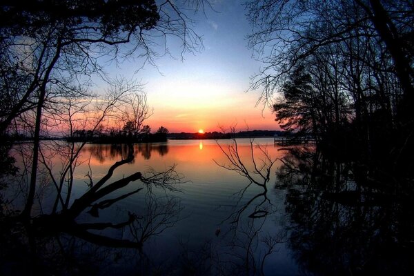 Деревья на фоне воды во время заката